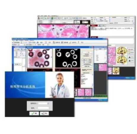 细胞医学图像分析系统的介绍