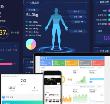 科技改变生活，健康从此不同：详解智能健康管理系统