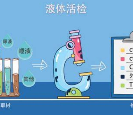 个性化医疗的关键：液体活检技术在癌症早期检测中的突破