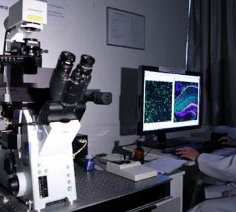 精准诊断的新利器：分子影像技术在癌症早期检测中的应用