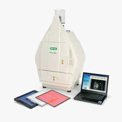 Bio-RadChemiDocXRS+化学发光成像系统中标价格