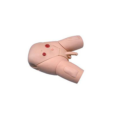 弘联医学GD/H17E导尿模型（男）中标价格