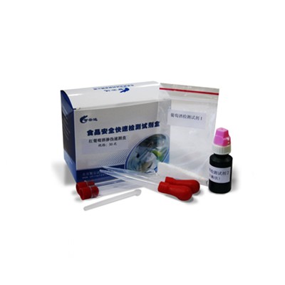 红葡萄酒掺伪速测盒 ZYD-HPTJ-50