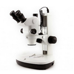 三目连续变倍体视显微镜 VMS300A
