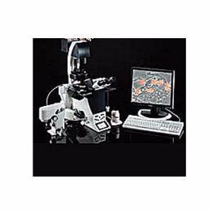 全自动倒置生物显微镜 DMI6000B