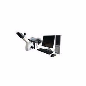 金相显微镜 UD300M