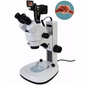 数码型立体显微镜 ZOOM-800D