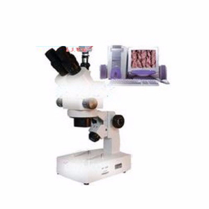 电脑型体视显微镜 XTL-3000D