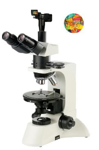 数码型偏光显微镜 XP-600D