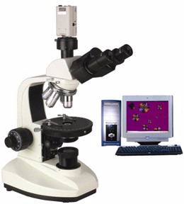 电脑型偏光显微镜 XP-203C