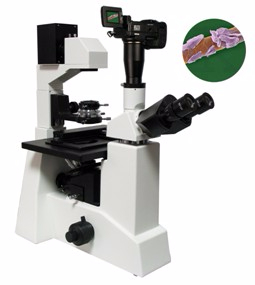 数码型生物显微镜 XSP-20CD