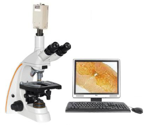 电脑型生物显微镜 XSP-12CC