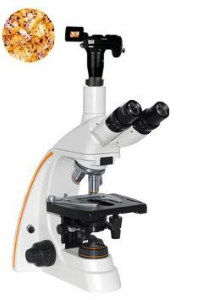 数码型生物显微镜 XSP-12CD
