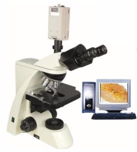 电脑型生物显微镜 XSP-10CC