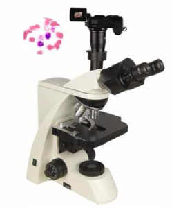 数码型生物显微镜 XSP-10CD