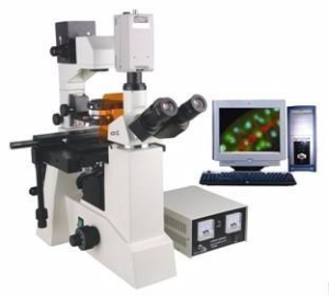 电脑型荧光显微镜 TXM-550C