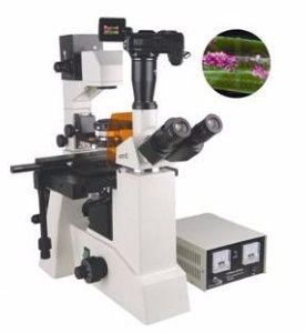 数码型荧光显微镜 TXM-550D