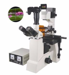 数码型荧光显微镜 TXM-500D