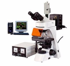 电脑型荧光显微镜 TXM-400C