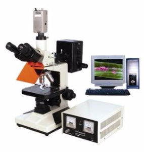 电脑型荧光显微镜 TXM-300C