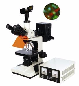 数码型荧光显微镜 TXM-300D