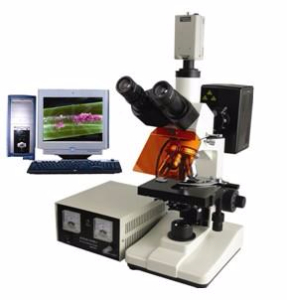 电脑型荧光显微镜 TXM-200C