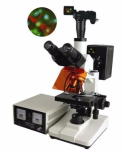 数码型荧光显微镜 TXM-200D