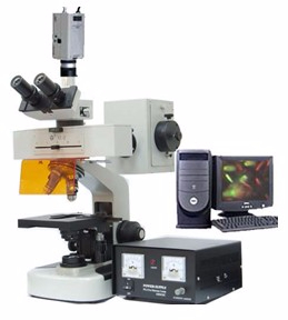 电脑型荧光显微镜 TXM-100AC