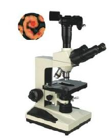 数码型相衬显微镜 TXC-200D