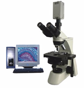 电脑型相衬显微镜 TXC-300C