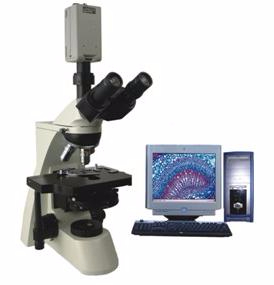 电脑型相衬显微镜 TXC-330C