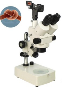 数码型体视显微镜 XTL-330D