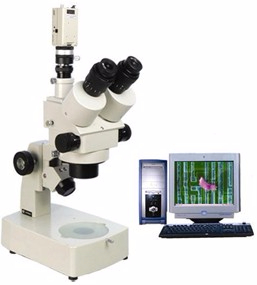 电脑型体视显微镜 XTL-300C