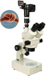 数码型体视显微镜 XTL-300D