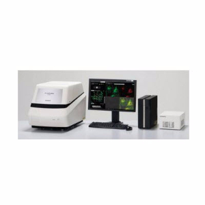 共聚焦显微镜 FV10i