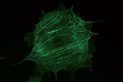 DMIL 结构紧凑稳定.jpg