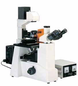 倒置荧光显微镜 LWD200-37FT