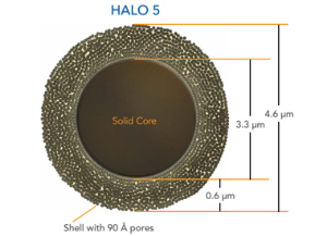 液相色谱柱 5μm