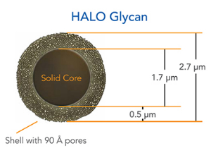 色谱柱 HALO 2 Peptide
