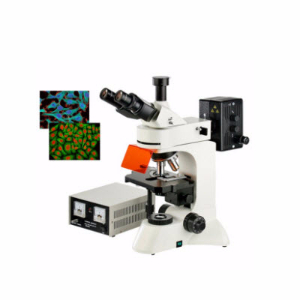 无限远落射荧光显微镜 YZF-60