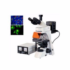 正置荧光显微镜 YZF-40