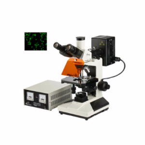 落射荧光显微镜 YZF-20