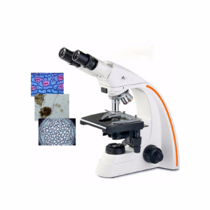无限远高档双目生物显微镜 YRS-27