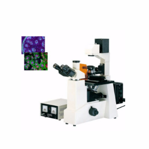 倒置荧光显微镜 YDF-70