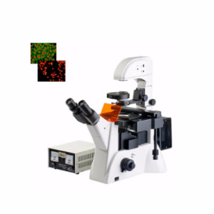 研究型倒置荧光显微镜 YDF-90