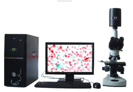 迈朗高倍智能变焦数码显微分析仪  sj-tmdi810（I）