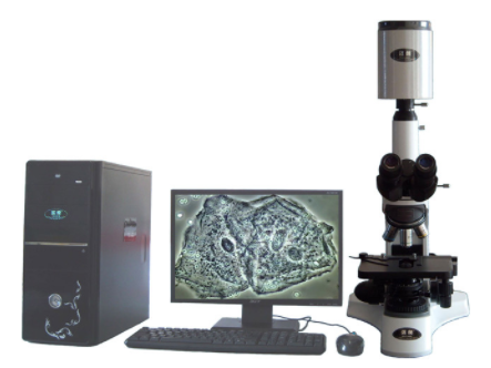 迈朗高倍智能变焦数码显微分析仪  sj-tmdi810（III）