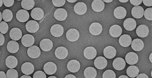 抗体亲和色谱柱  ProAqa Excel
