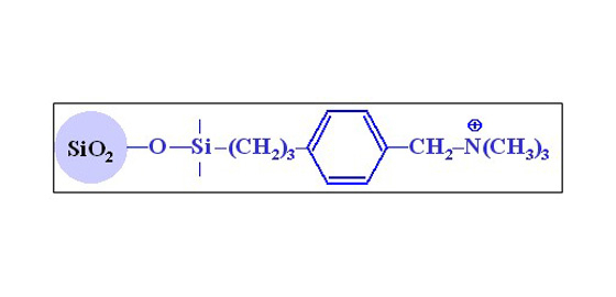硅胶色谱柱   HP-SAX