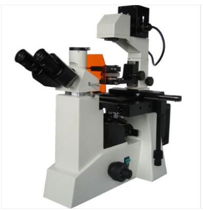 彼爱姆 电脑倒置荧光显微镜 BM-39Y